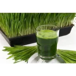 Centrifugeuse à Pressage à Froid Gemini Twin Gear De BioChef, 200 Oz, Blanc 10 Centrifugeuse à Pressage à Froid Gemini Twin Gear De BioChef, 200 Oz, Blanc -magasin d'appareils de cuisine 330772011 AlternateImage3 l