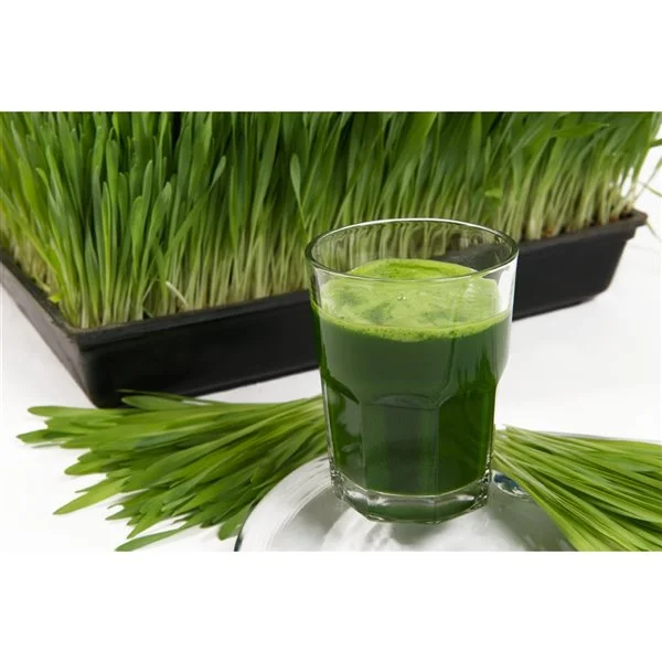 Centrifugeuse à Pressage à Froid Gemini Twin Gear De BioChef, 200 Oz, Blanc 6 Centrifugeuse à Pressage à Froid Gemini Twin Gear De BioChef, 200 Oz, Blanc – Image 4