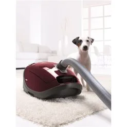 Aspirateur à Cartouche Complete C3 Cat & Dog De Miele -magasin d'appareils de cuisine 330838093 AlternateImage2 l