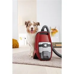 Aspirateur Blizzard CX1 Cat & Dog De Miele -magasin d'appareils de cuisine 330838094 AlternateImage2 l